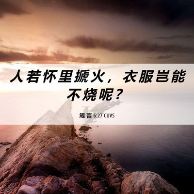 Picture 06 - 箴 言 6:27 CUVS - 人 若 怀 里 搋 火 ， 衣 服 岂 能 不 - Bible Verse Picture