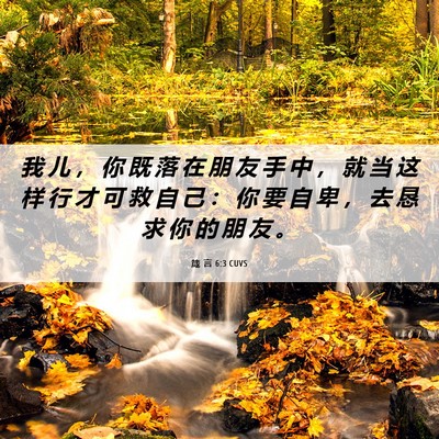 Picture 06 - 箴 言 6:3 CUVS - 我 儿 ， 你 既 落 在 朋 友 手 中 ， - Bible Verse Picture