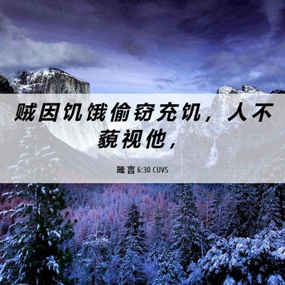 Picture 06 - 箴 言 6:30 CUVS - 贼 因 饥 饿 偷 窃 充 饥 ， 人 不 藐 - Bible Verse Picture
