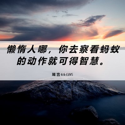 Picture 06 - 箴 言 6:6 CUVS - 懒 惰 人 哪 ， 你 去 察 看 蚂 蚁 的 - Bible Verse Picture