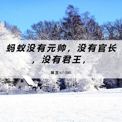 Picture 06 - 箴 言 6:7 CUVS - 蚂 蚁 没 有 元 帅 ， 没 有 官 长 ， - Bible Verse Picture