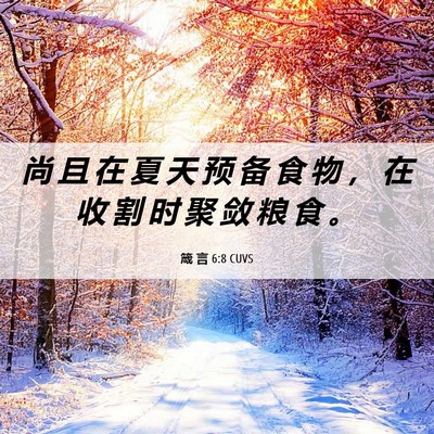 Picture 06 - 箴 言 6:8 CUVS - 尚 且 在 夏 天 预 备 食 物 ， 在 收 - Bible Verse Picture