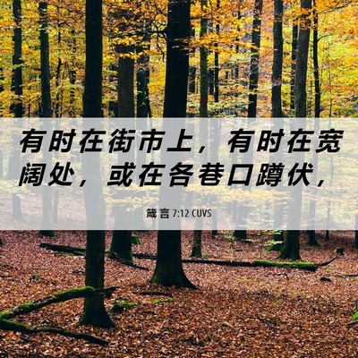 Picture 06 - 箴 言 7:12 CUVS - 有 时 在 街 市 上 ， 有 时 在 宽 阔 - Bible Verse Picture