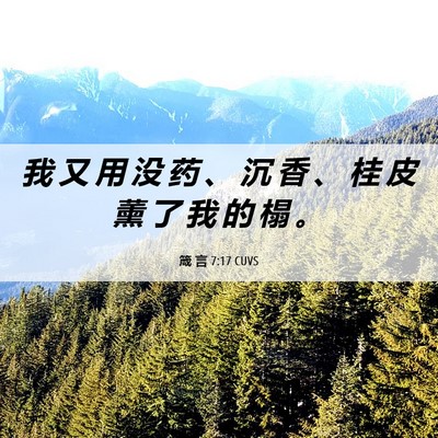 Picture 06 - 箴 言 7:17 CUVS - 我 又 用 没 药 、 沉 香 、 桂 皮 薰 - Bible Verse Picture