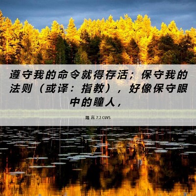 Picture 06 - 箴 言 7:2 CUVS - 遵 守 我 的 命 令 就 得 存 活 ； 保 - Bible Verse Picture