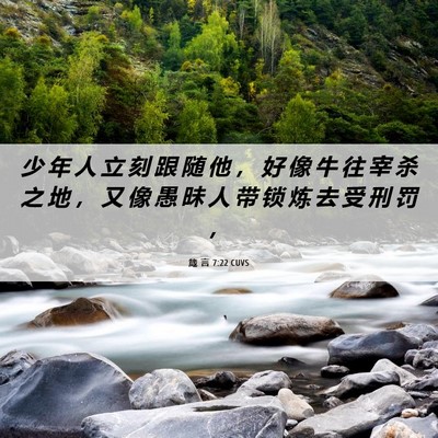 Picture 06 - 箴 言 7:22 CUVS - 少 年 人 立 刻 跟 随 他 ， 好 像 牛 - Bible Verse Picture