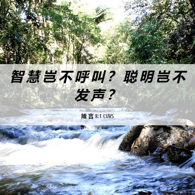 Picture 06 - 箴 言 8:1 CUVS - 智 慧 岂 不 呼 叫 ？ 聪 明 岂 不 发 - Bible Verse Picture