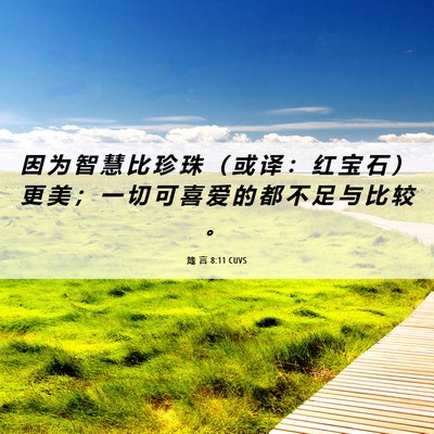 Picture 06 - 箴 言 8:11 CUVS - 因 为 智 慧 比 珍 珠 （ 或 译 ： 红 - Bible Verse Picture