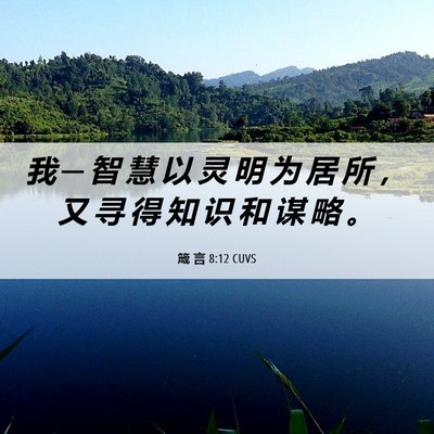 Picture 06 - 箴 言 8:12 CUVS - 我 ─ 智 慧 以 灵 明 为 居 所 ， 又 - Bible Verse Picture