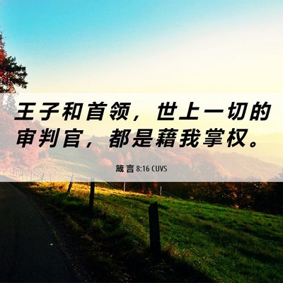 Picture 06 - 箴 言 8:16 CUVS - 王 子 和 首 领 ， 世 上 一 切 的 审 - Bible Verse Picture