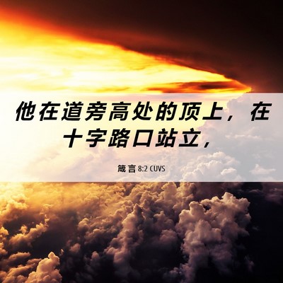 Picture 06 - 箴 言 8:2 CUVS - 他 在 道 旁 高 处 的 顶 上 ， 在 十 - Bible Verse Picture