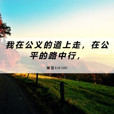 Picture 06 - 箴 言 8:20 CUVS - 我 在 公 义 的 道 上 走 ， 在 公 平 - Bible Verse Picture