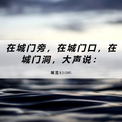 Picture 06 - 箴 言 8:3 CUVS - 在 城 门 旁 ， 在 城 门 口 ， 在 城 - Bible Verse Picture