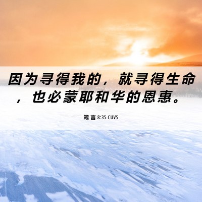 Picture 06 - 箴 言 8:35 CUVS - 因 为 寻 得 我 的 ， 就 寻 得 生 命 - Bible Verse Picture