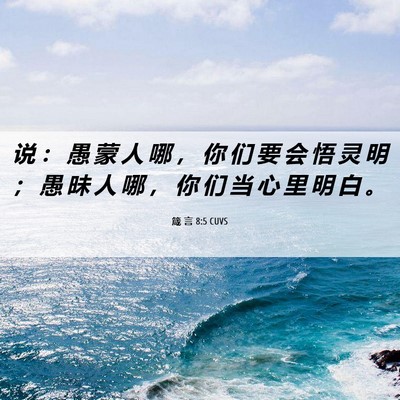 Picture 06 - 箴 言 8:5 CUVS - 说 ： 愚 蒙 人 哪 ， 你 们 要 会 悟 - Bible Verse Picture