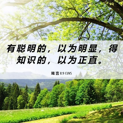 Picture 06 - 箴 言 8:9 CUVS - 有 聪 明 的 ， 以 为 明 显 ， 得 知 - Bible Verse Picture