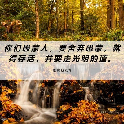 Picture 06 - 箴 言 9:6 CUVS - 你 们 愚 蒙 人 ， 要 舍 弃 愚 蒙 ， - Bible Verse Picture