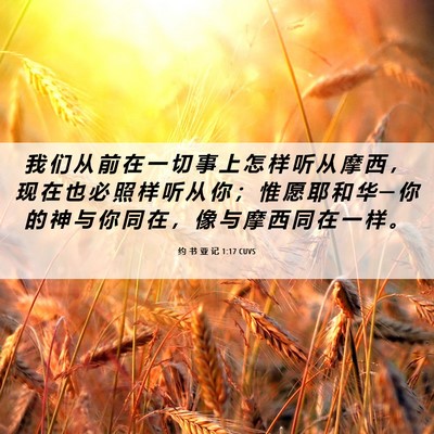 Picture 06 - 约 书 亚 记 1:17 CUVS - 我 们 从 前 在 一 切 事 上 怎 样 听 - Bible Verse Picture