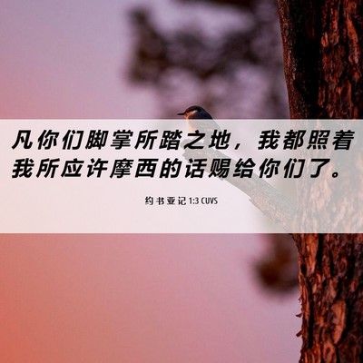 Picture 06 - 约 书 亚 记 1:3 CUVS - 凡 你 们 脚 掌 所 踏 之 地 ， 我 都 - Bible Verse Picture