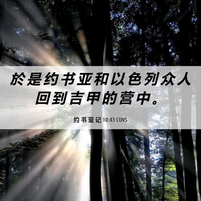 Picture 06 - 约 书 亚 记 10:43 CUVS - 於 是 约 书 亚 和 以 色 列 众 人 回 - Bible Verse Picture