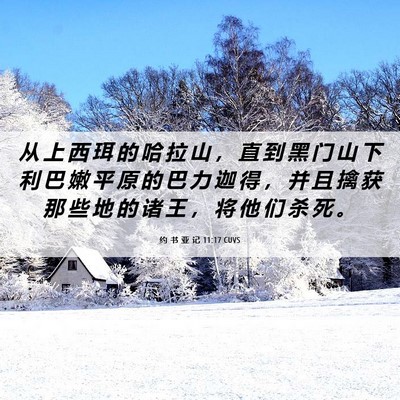 Picture 06 - 约 书 亚 记 11:17 CUVS - 从 上 西 珥 的 哈 拉 山 ， 直 到 黑 - Bible Verse Picture
