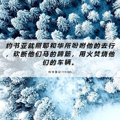 Picture 06 - 约 书 亚 记 11:9 CUVS - 约 书 亚 就 照 耶 和 华 所 吩 咐 他 - Bible Verse Picture