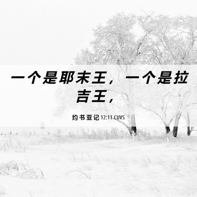 Picture 06 - 约 书 亚 记 12:11 CUVS - 一 个 是 耶 末 王 ， 一 个 是 拉 吉 - Bible Verse Picture