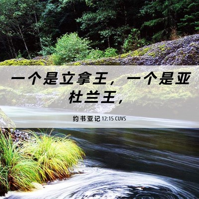 Picture 06 - 约 书 亚 记 12:15 CUVS - 一 个 是 立 拿 王 ， 一 个 是 亚 杜 - Bible Verse Picture