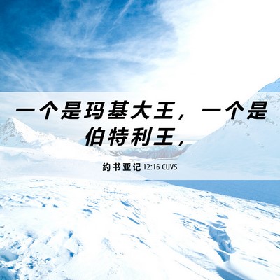 Picture 06 - 约 书 亚 记 12:16 CUVS - 一 个 是 玛 基 大 王 ， 一 个 是 伯 - Bible Verse Picture
