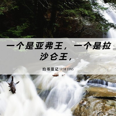 Picture 06 - 约 书 亚 记 12:18 CUVS - 一 个 是 亚 弗 王 ， 一 个 是 拉 沙 - Bible Verse Picture