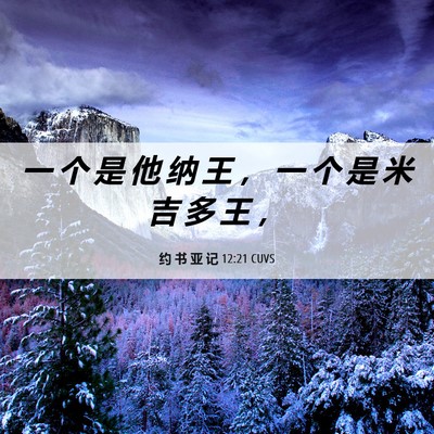 Picture 06 - 约 书 亚 记 12:21 CUVS - 一 个 是 他 纳 王 ， 一 个 是 米 吉 - Bible Verse Picture