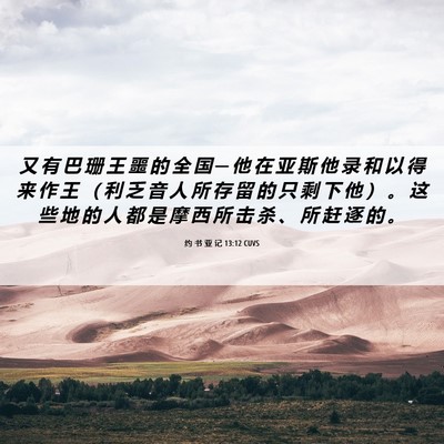 Picture 06 - 约 书 亚 记 13:12 CUVS - 又 有 巴 珊 王 噩 的 全 国 ─ 他 在 - Bible Verse Picture