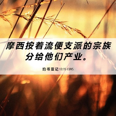 Picture 06 - 约 书 亚 记 13:15 CUVS - 摩 西 按 着 流 便 支 派 的 宗 族 分 - Bible Verse Picture