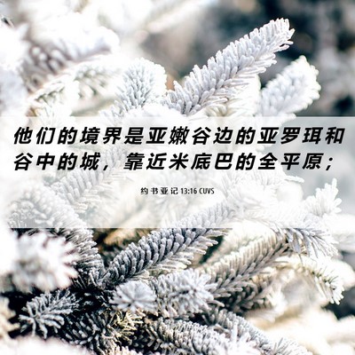 Picture 06 - 约 书 亚 记 13:16 CUVS - 他 们 的 境 界 是 亚 嫩 谷 边 的 亚 - Bible Verse Picture