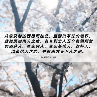 Picture 06 - 约 书 亚 记 13:3 CUVS - 从 埃 及 前 的 西 曷 河 往 北 ， 直 - Bible Verse Picture