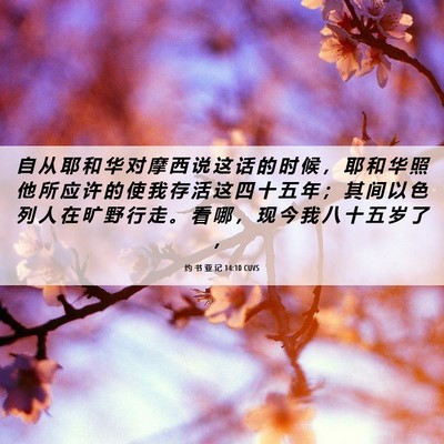 Picture 06 - 约 书 亚 记 14:10 CUVS - 自 从 耶 和 华 对 摩 西 说 这 话 的 - Bible Verse Picture