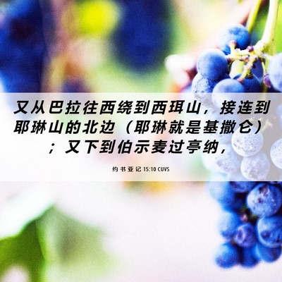 Picture 06 - 约 书 亚 记 15:10 CUVS - 又 从 巴 拉 往 西 绕 到 西 珥 山 ， - Bible Verse Picture