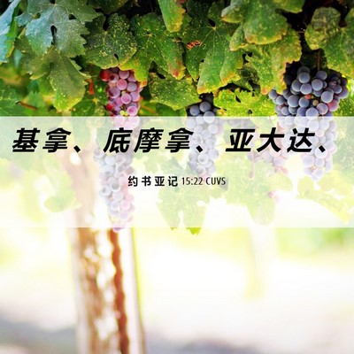 Picture 06 - 约 书 亚 记 15:22 CUVS - 基 拿 、 底 摩 拿 、 亚 大 达 - Bible Verse Picture