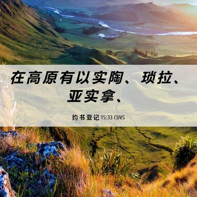 Picture 06 - 约 书 亚 记 15:33 CUVS - 在 高 原 有 以 实 陶 、 琐 拉 、 亚 - Bible Verse Picture
