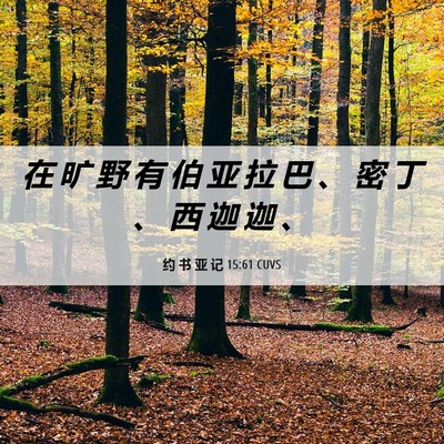 Picture 06 - 约 书 亚 记 15:61 CUVS - 在 旷 野 有 伯 亚 拉 巴 、 密 丁 、 - Bible Verse Picture