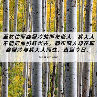 Picture 06 - 约 书 亚 记 15:63 CUVS - 至 於 住 耶 路 撒 冷 的 耶 布 斯 人 - Bible Verse Picture
