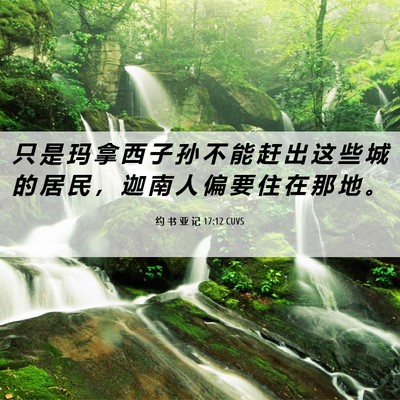 Picture 06 - 约 书 亚 记 17:12 CUVS - 只 是 玛 拿 西 子 孙 不 能 赶 出 这 - Bible Verse Picture