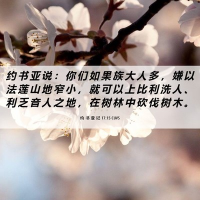 Picture 06 - 约 书 亚 记 17:15 CUVS - 约 书 亚 说 ： 你 们 如 果 族 大 人 - Bible Verse Picture