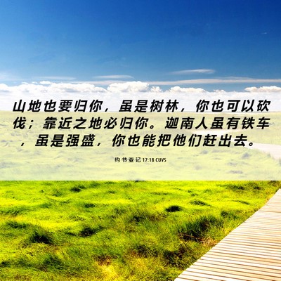 Picture 06 - 约 书 亚 记 17:18 CUVS - 山 地 也 要 归 你 ， 虽 是 树 林 ， - Bible Verse Picture