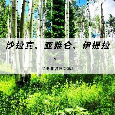 Picture 06 - 约 书 亚 记 19:42 CUVS - 沙 拉 宾 、 亚 雅 仑 、 伊 提 拉 - Bible Verse Picture