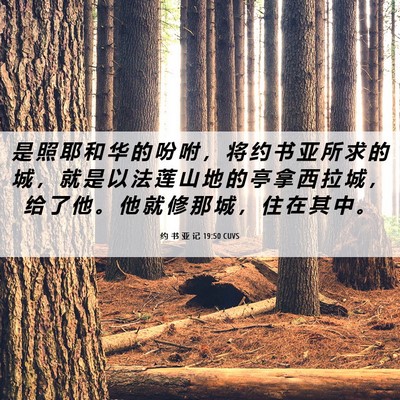 Picture 06 - 约 书 亚 记 19:50 CUVS - 是 照 耶 和 华 的 吩 咐 ， 将 约 书 - Bible Verse Picture