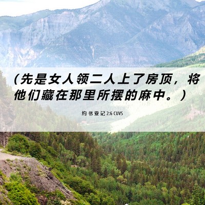 Picture 06 - 约 书 亚 记 2:6 CUVS - （ 先 是 女 人 领 二 人 上 了 房 顶 - Bible Verse Picture