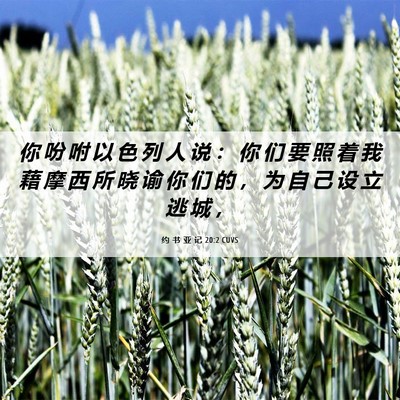 Picture 06 - 约 书 亚 记 20:2 CUVS - 你 吩 咐 以 色 列 人 说 ： 你 们 要 - Bible Verse Picture