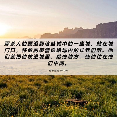 Picture 06 - 约 书 亚 记 20:4 CUVS - 那 杀 人 的 要 逃 到 这 些 城 中 的 - Bible Verse Picture