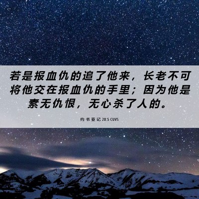 Picture 06 - 约 书 亚 记 20:5 CUVS - 若 是 报 血 仇 的 追 了 他 来 ， 长 - Bible Verse Picture